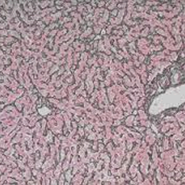 Haematoxylin 95% Monohydrate